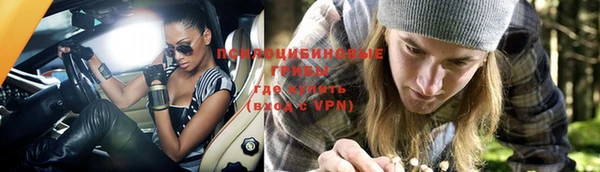 ешки Пересвет
